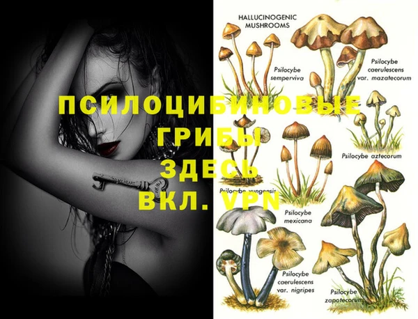 меф Михайлов