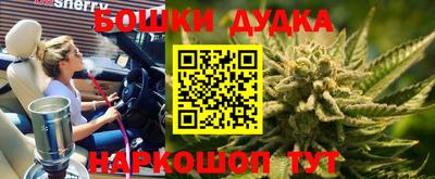 спиды Донской
