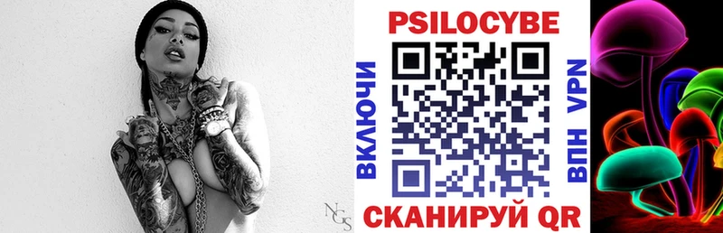 Псилоцибиновые грибы Psilocybine cubensis Краснокаменск