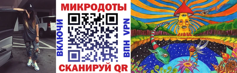 что такое   Краснокаменск  Галлюциногенные грибы MAGIC MUSHROOMS 