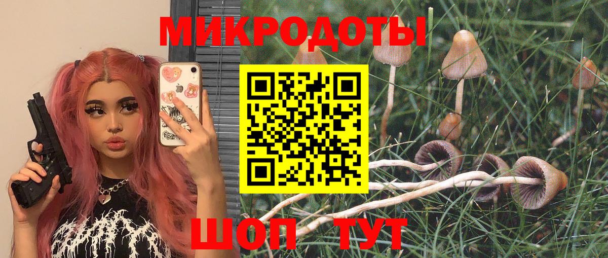 A PVP Краснокаменск