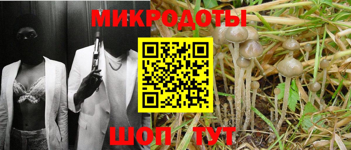 Краснокаменск  купить  сайты  Вход с VPN  Псилоцибиновые грибы MAGIC MUSHROOMS  Псилоцибиновые грибы ЛСД 