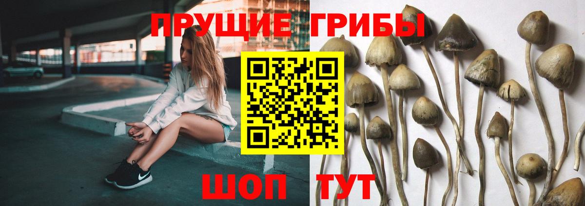 Псилоцибиновые грибы мухоморы Краснокаменск